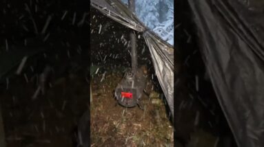 Camping in Heavy Snow With a Dog and Wood Stove #camping #survival #winter