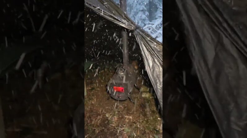 Camping in Heavy Snow With a Dog and Wood Stove #camping #survival #winter
