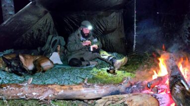 Bear Encounter Risk | Survival Camping in Unpredictable Weather