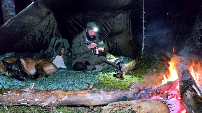 Bear Encounter Risk | Survival Camping in Unpredictable Weather