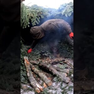 Camping in a Snowy Forest with My Dog