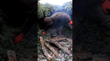 Camping in a Snowy Forest with My Dog