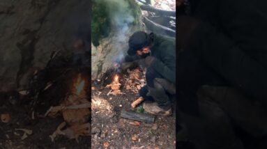 Camping in the Rain with My Dog 🌧️🐕