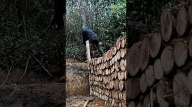 🔥 Building a Warm Winter Shelter in the Forest With My Dog | Mud & Wood Survival