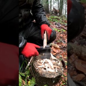 Hot Stove Tent Camping with My Dog in Winter