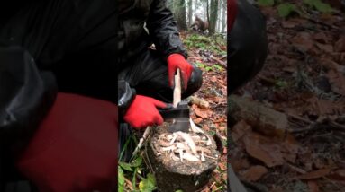 Hot Stove Tent Camping with My Dog in Winter