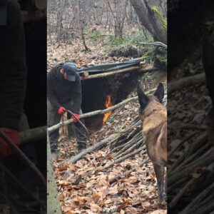 I Returned to My Old Shelter with My Dog