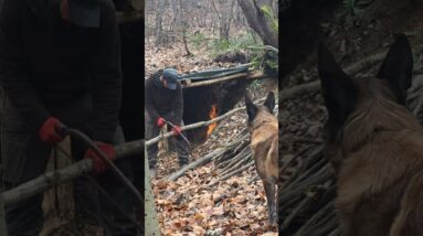 I Returned to My Old Shelter with My Dog