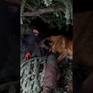 I Spent the Night in a Snow Forest with My Dog