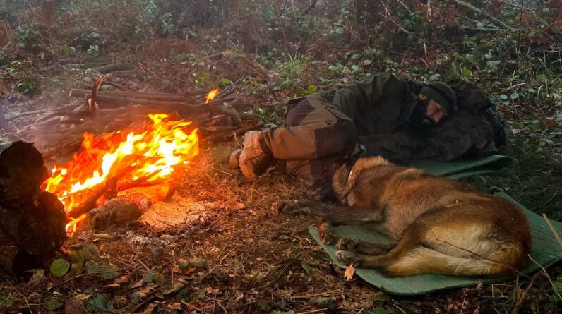The Rain Hid Our Scent… Wild Animals Came Close to Our Camp