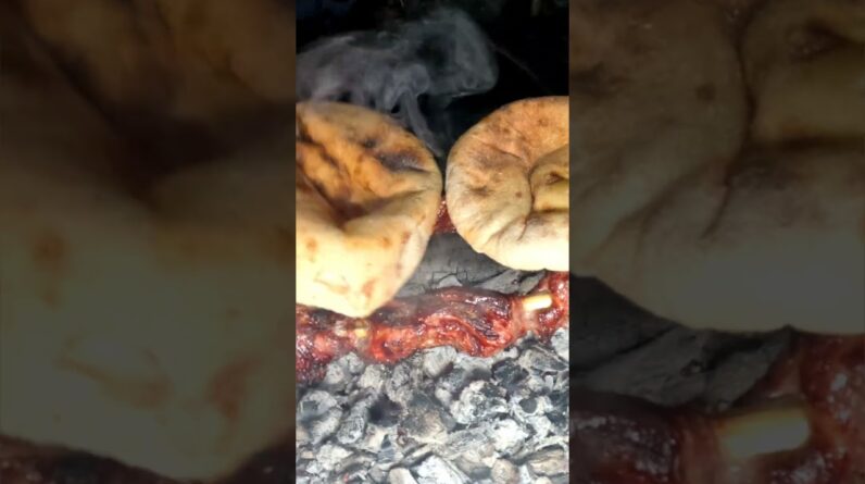 Building a Shelter and Surviving 2 Days in the Snowy Forest with My Dog