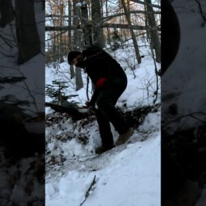Solo Bushcraft in Deep Snow: Winter Forest Camping #bushcraft #camping #survival