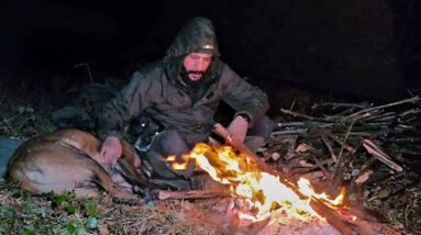 Camping in the Forest With My Dog Using Only a Tarp | Rain and Wind Survival