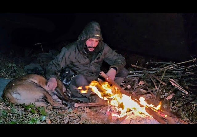 Camping in the Forest With My Dog Using Only a Tarp | Rain and Wind Survival