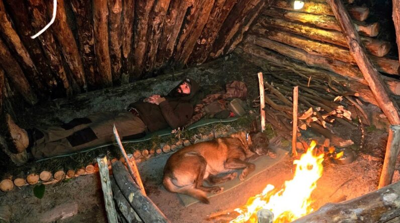 48 Hours in My Primitive Forest Shelter With My Dog | Wild Boars Came at Night