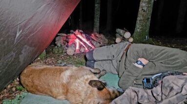Something Came Into Our Camp at Night…