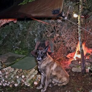 My Dog and I Spent 2 Days Alone in the Spruce Forest | Bushcraft Survival