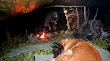 Camping in the Rain with Only a Tarp and My Dog