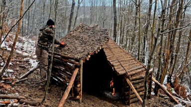 I Spent Months Building a Cabin in the Wilderness | From Autumn to Winter