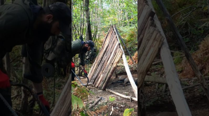 Building a Primitive Shelter