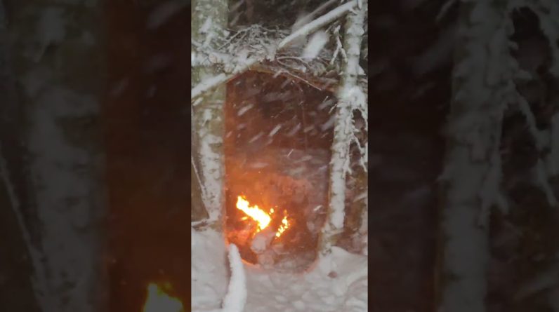 Camping in the Middle of a Snowstorm