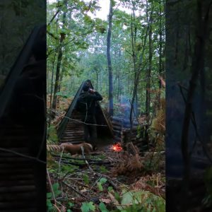 In Our Forest Shelter with My Dog