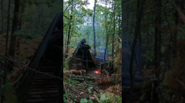 In Our Forest Shelter with My Dog