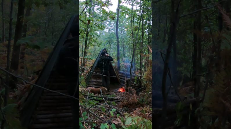 In Our Forest Shelter with My Dog