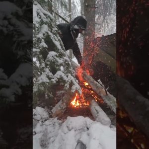 Extreme Cold Bushcraft: Building a Campfire in the Snow 🌲 #survival #outdoors